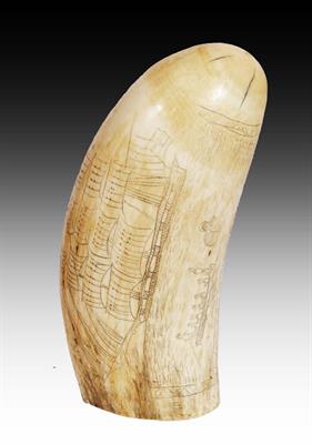 Lot 176 - SCRIMSHAW: a whale's tooth etched with three masted sailing vessel and whale hunting expedition part