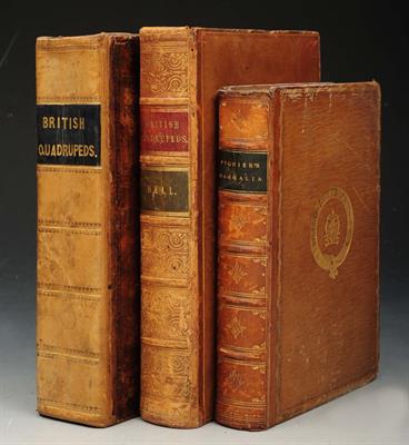Lot 492 - BINGLEY