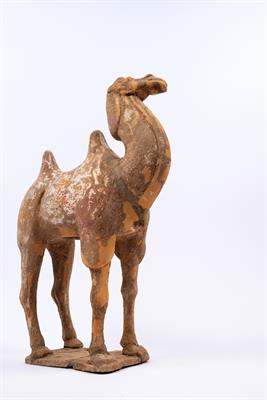 Lot 503 - A pottery Bactrian camel