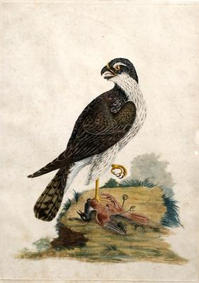 Lot 175 - Williams Hayes (1729-1799)