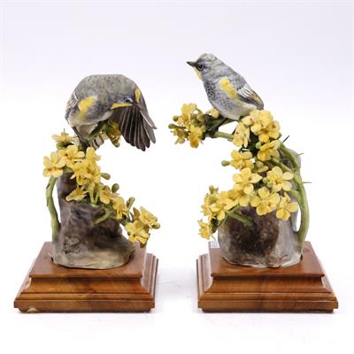 Lot 292 - A Royal Worcester model 'Audubon's Warbler'