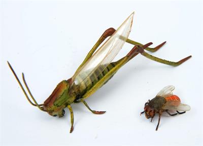 Lot 71 - A PAINTED CAST METAL MODEL of a grasshopper