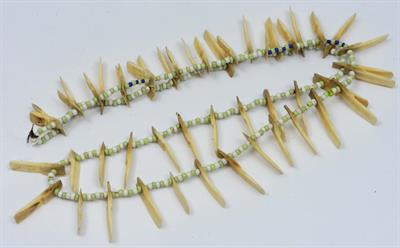 Lot 237 - AN AMAZON SOUTH AMERICAN NATIVE NECKLACE of Pacu fish teeth and trade beads strung on gut sinew