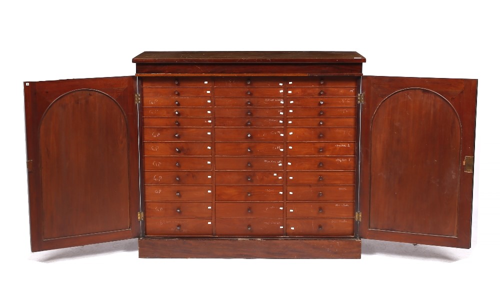 Lot 410 - A VICTORIAN MAHOGANY MUSEUM CABINET