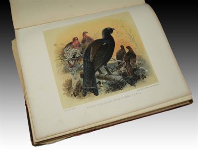 Lot 534 - GAME BIRDS AND SHOOTING SKETCHES