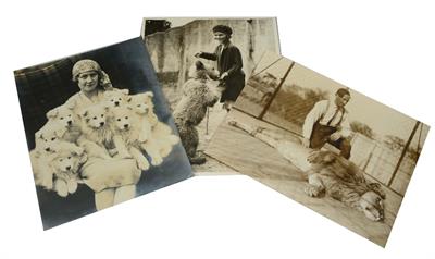 Lot 641 - A SELECTION OF THIRTY NINE ANIMAL AND DOG PRESS PHOTOS FROM THE COLLECTION OF AMEDÉE GAUTIER TO INCL