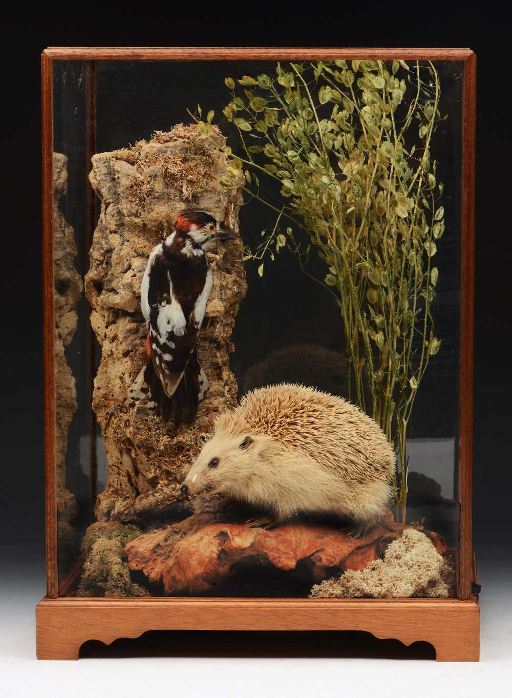Lot 162 - A TAXIDERMIC GROUP OF AN ALBINO HEDGEHOG AND WOODPECKER