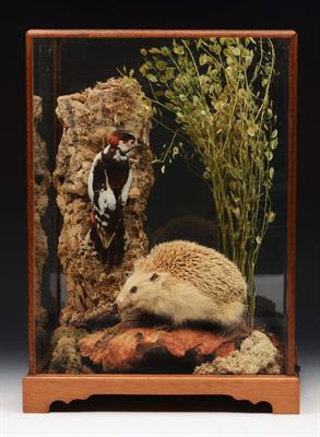 Lot 162 - A TAXIDERMIC GROUP OF AN ALBINO HEDGEHOG AND WOODPECKER