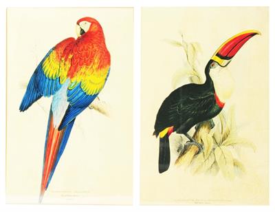 Lot 260 - A SET OF SEVEN COLOURED PRINTS OF BIRDS AFTER JOHN GOULD (1804-1881)