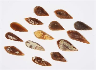 Lot 375 - A GROUP OF FOURTEEN BRITISH NEOLITHIC FLINT ARROWHEADS