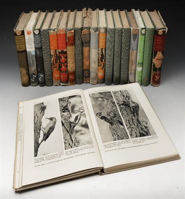 Lot 534 - COLLINS NEW NATURALIST SERIES