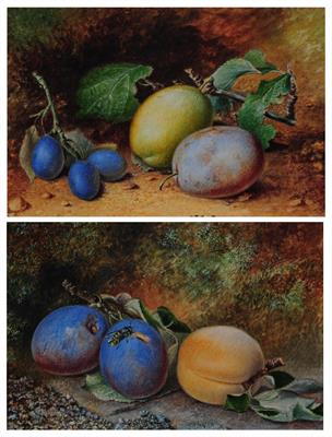 Lot 316 - MARY A. HULL (exh. 1884-1910)