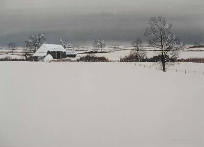 Lot 411 - PAUL EVANS