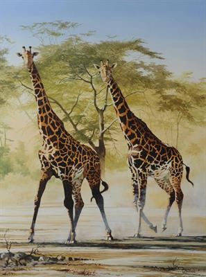 Lot 479 - JIM DAWSON (b.1945)