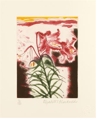 Lot 444 - (Book)