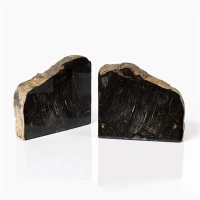 Lot 142 - A PAIR OF FOSSILIZED WOOD BOOKENDS