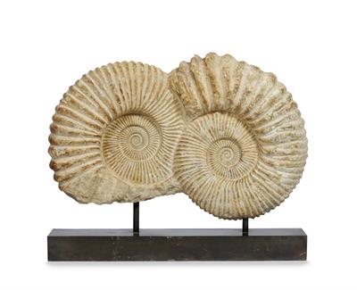 Lot 47 - TWO LARGE FOSSILISED AMMONITES