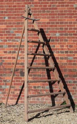 Lot 720 - AN OLD PINE APPLE PICKING LADDER of triangular form with third leg 133cm wide x 253cm high