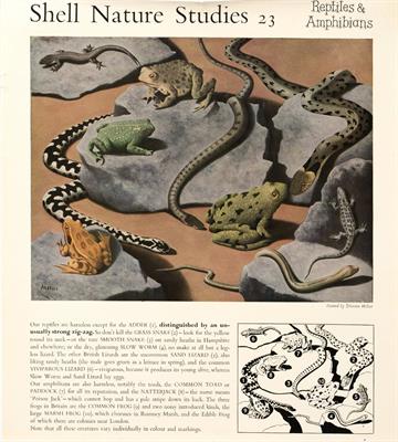 Lot 272 - Collection of 1930s Shell guide posters