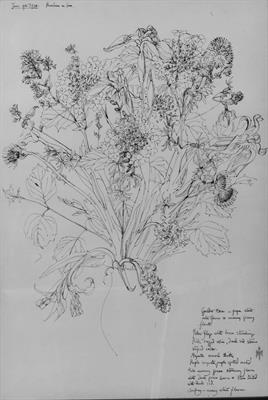Lot 166 - Alison Taylor (British