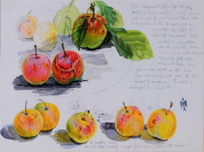 Lot 169 - Alison Taylor (British