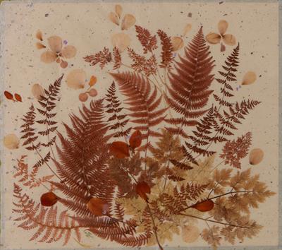 Lot 172 - Alison Taylor (British