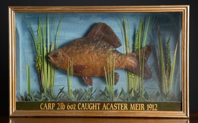 Lot 531 - A plaster carp in a three glass and black and...