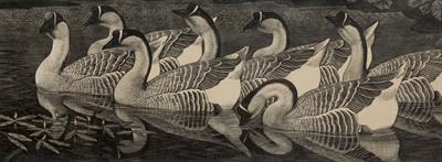 Lot 609 - Charles Frederick Tunnicliffe (British