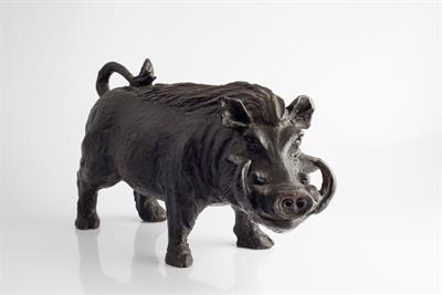 Lot 625 - Rosalie Johnson (South African
