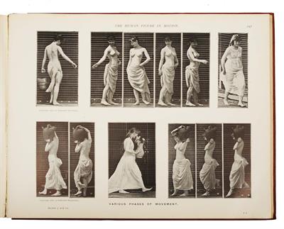 Lot 805 - MUYBRIDGE
