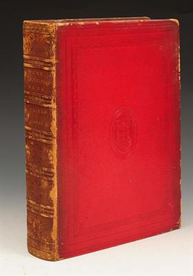 Lot 614 - FOX