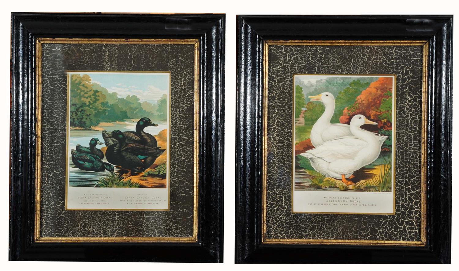 Lot 22 - VINCENT BROOKS