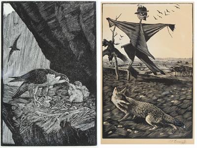 Lot 41 - CHARLES FREDERICK TUNNICLIFFE (1901-1979)