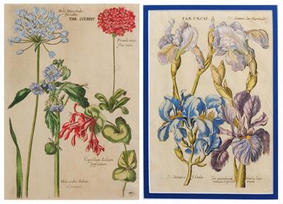 Lot 57 - JAN THEODORE DE BRY (1561-1623)