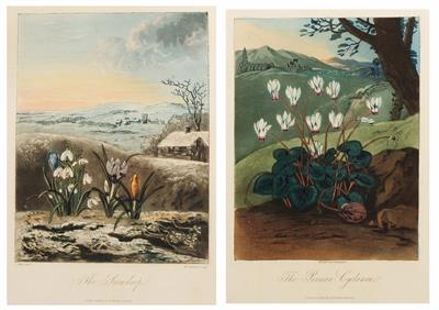 Lot 58 - WILLIAM DUNKARTON AFTER PETHER