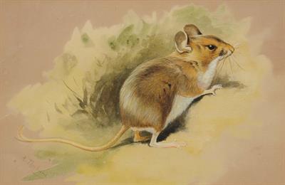 Lot 145 - ARCHIBALD THORBURN (1860-1935)