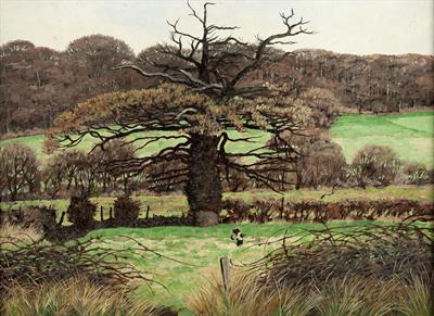 Lot 563 - Christopher Compton Hall (b.1930)