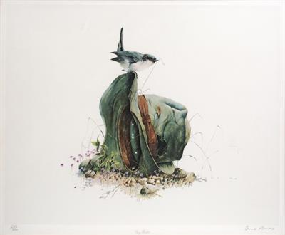Lot 180 - Bruce Harvey (New Zealand