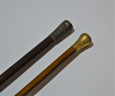 Lot 263 - Two walking canes