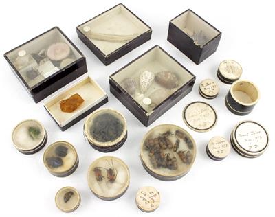 Lot 286 - A GROUP OF VARIOUS 19TH CENTURY SPECIMEN SAMPLES