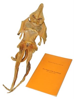 Lot 432 - A DRIED SKATE OR SEA BISHOP