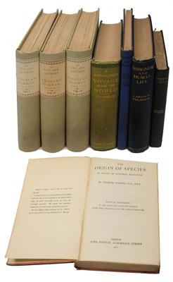 Lot 491 - DARWIN