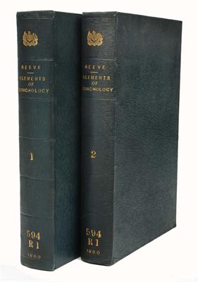 Lot 589 - REEVE