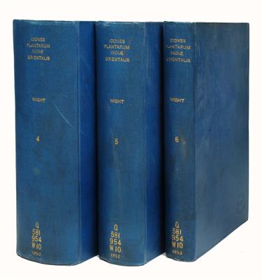 Lot 590 - WRIGHT