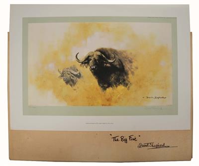 Lot 681 - DAVID SHEPHERD