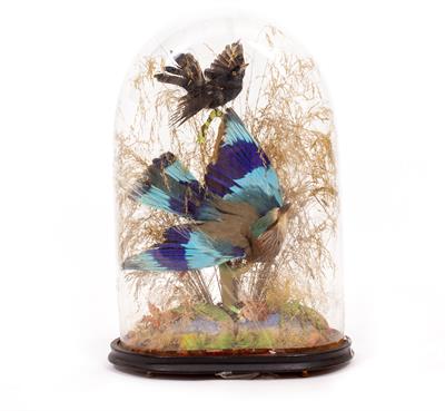 Lot 366 - A LATE 19TH / EARLY 20TH CENTURY TAXIDERMIC GROUP