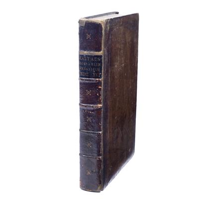 Lot 516 - HALTAUS