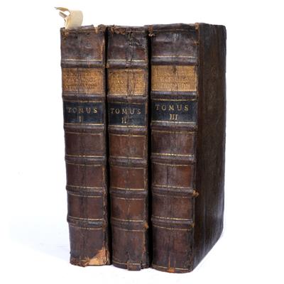 Lot 730 - SCHILTERI