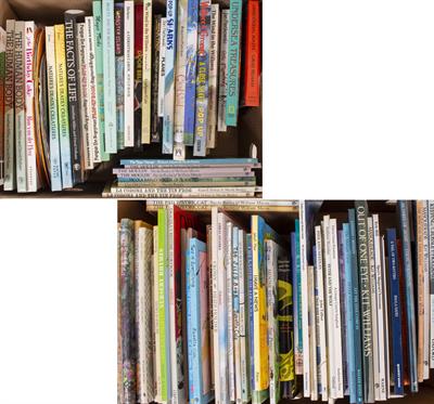 Lot 232 - A COLLECTION OF VARIOUS CHILDREN'S BOOKS