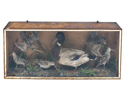 Lot 338 - A 19TH CENTURY TAXIDERMIC GROUP